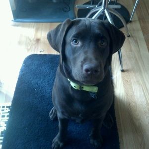 Meet your Posher, Karen